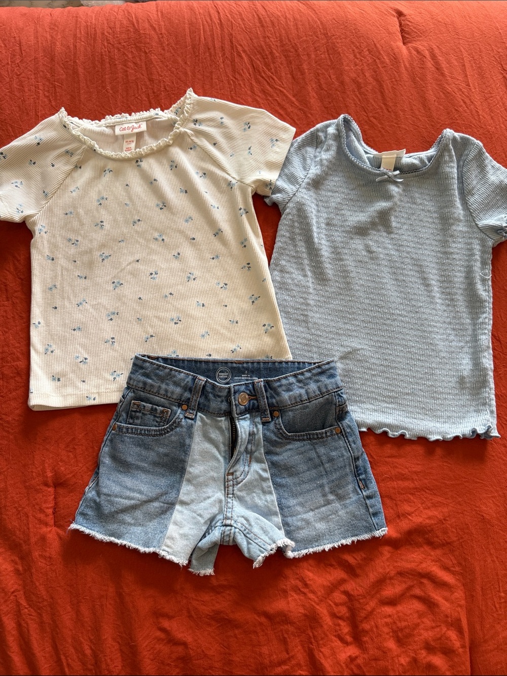 Girls Lot: shorts & 2 tees EUC Sz 5